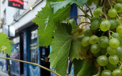 La cantine de Ménilmontant, par 716LaVie