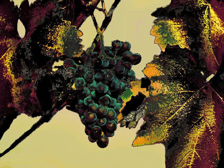 Exposition de Gaëlle Cueff